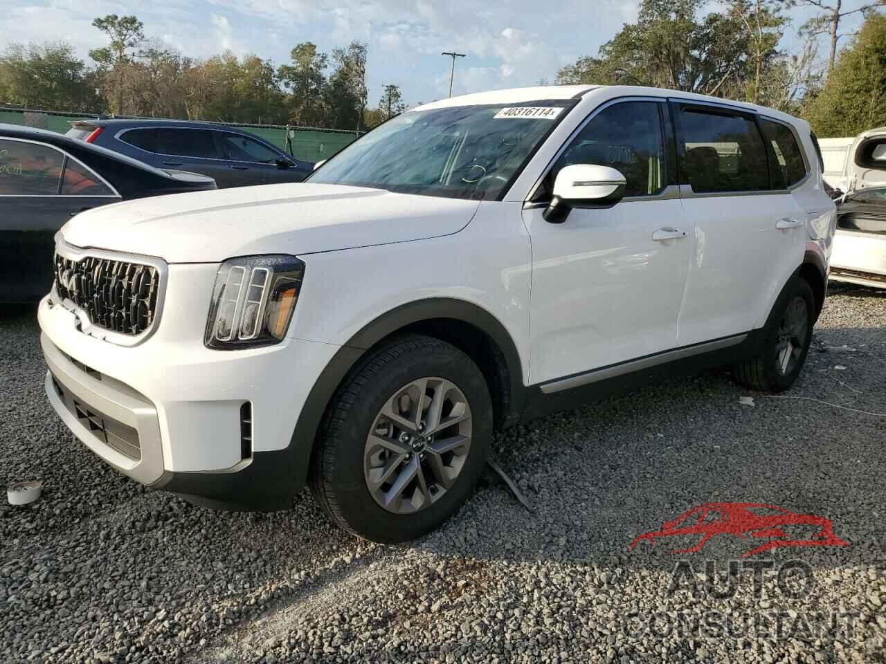 KIA TELLURIDE 2024 - 5XYP24GC6RG410972