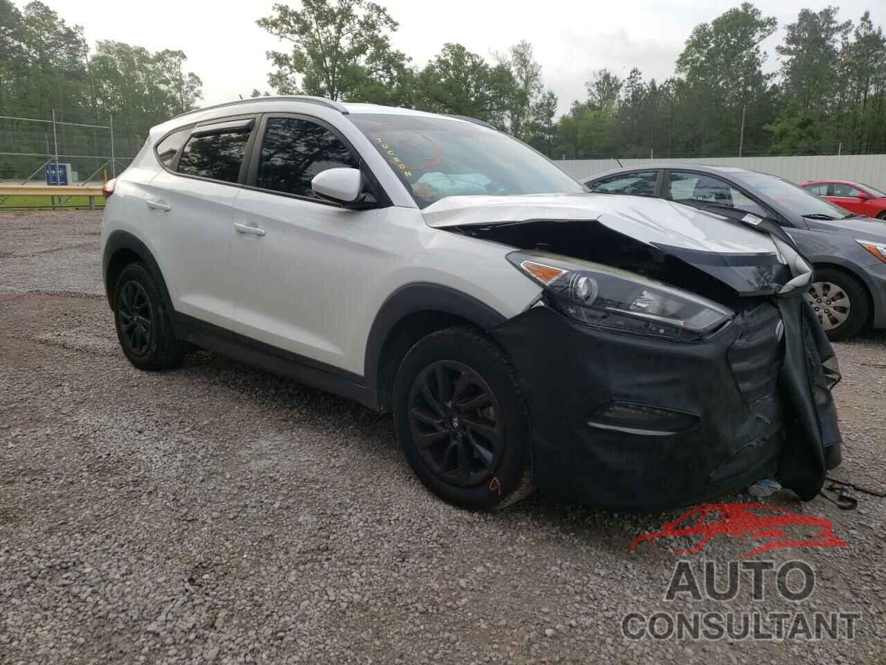 HYUNDAI TUCSON 2016 - KM8J33A41GU094113