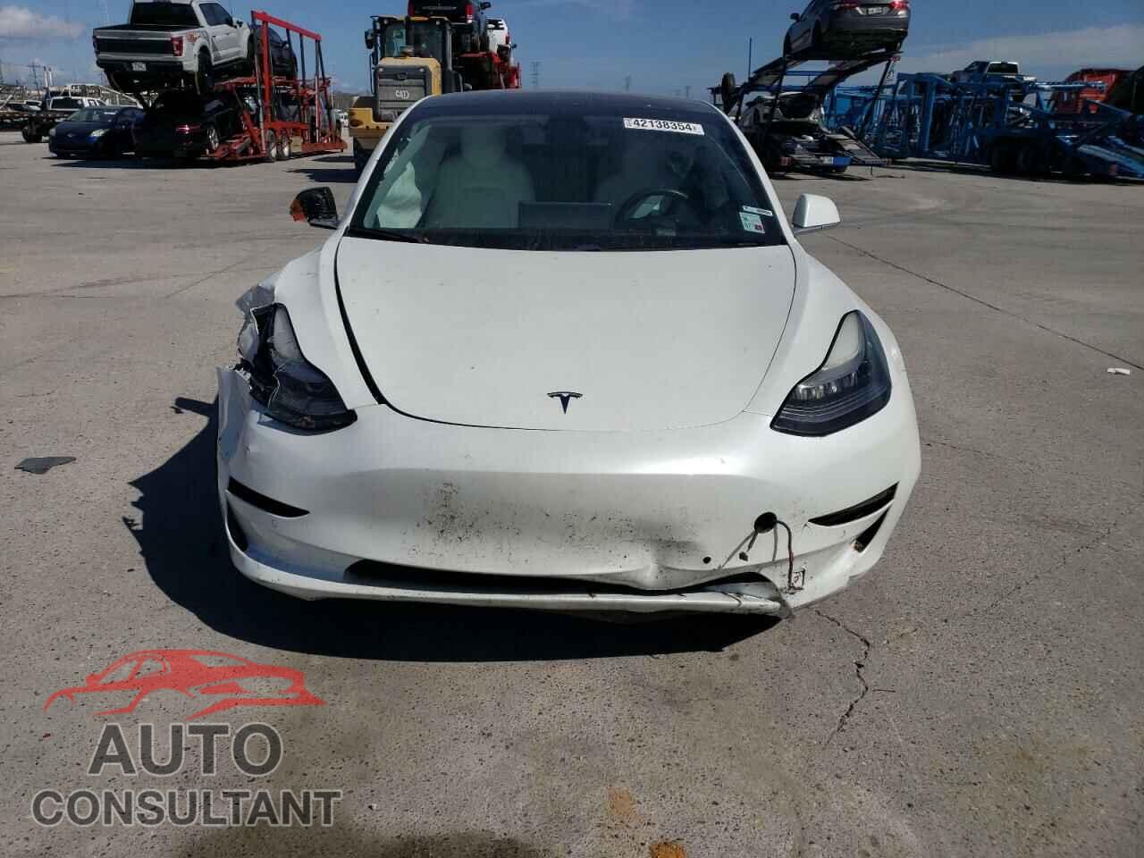 TESLA MODEL 3 2019 - 5YJ3E1EA2KF486904