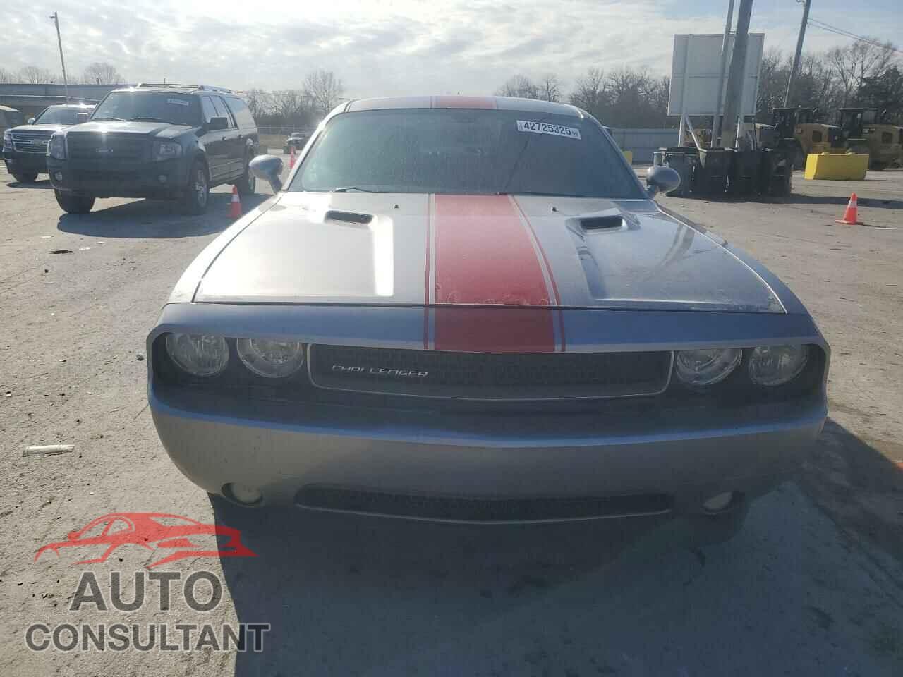 DODGE CHALLENGER 2013 - 2C3CDYAG3DH660180