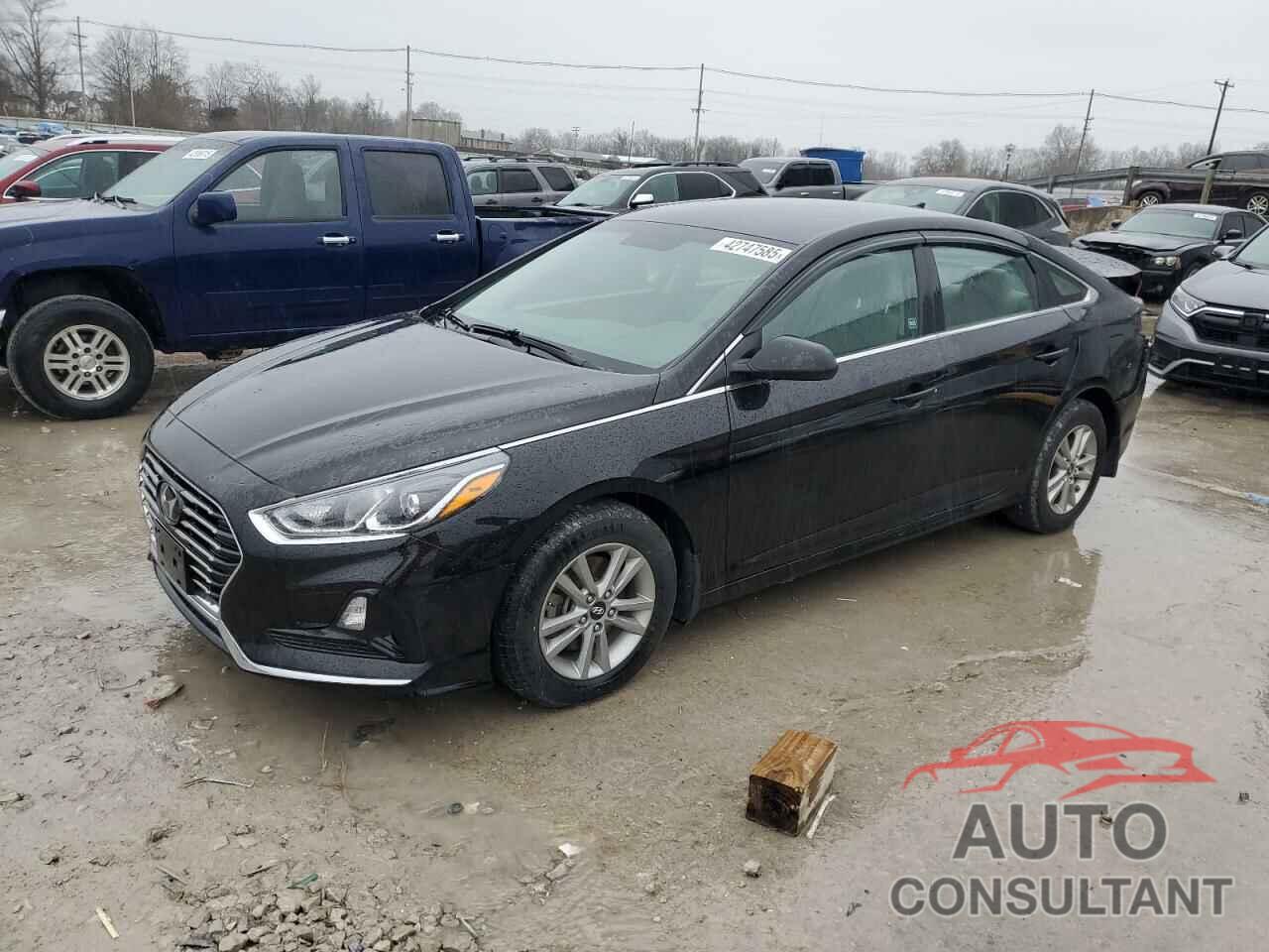 HYUNDAI SONATA 2019 - 5NPE24AF0KH742088