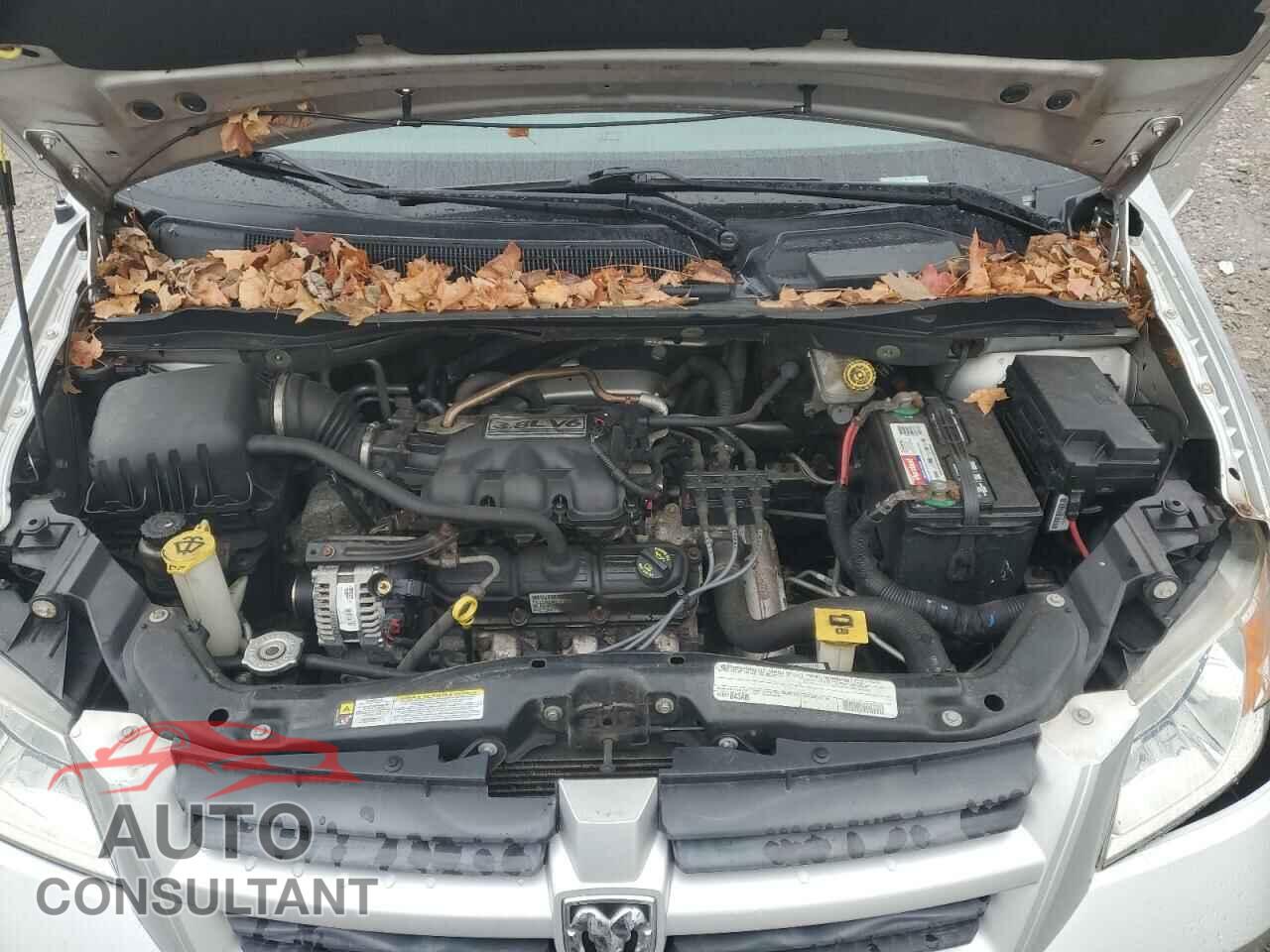 DODGE CARAVAN 2010 - 2D4RN3D14AR426880