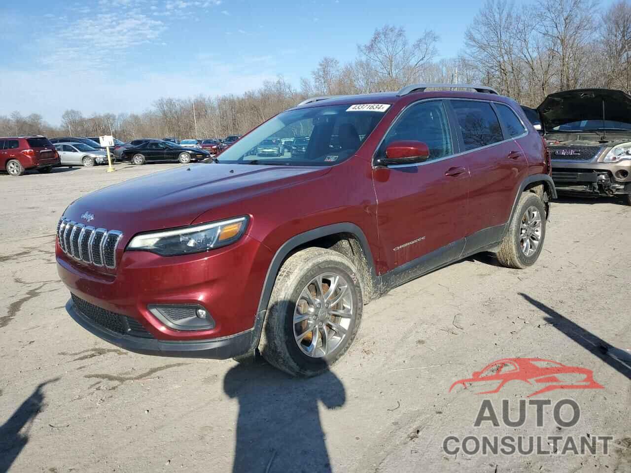 JEEP GRAND CHER 2019 - 1C4PJMLB3KD355854