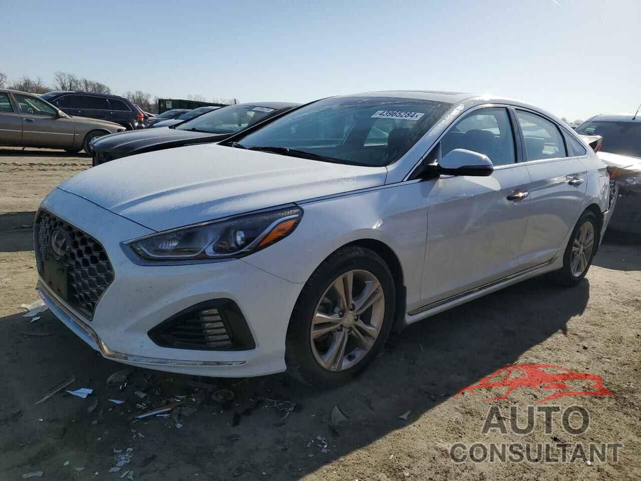 HYUNDAI SONATA 2019 - 5NPE34AF6KH783757