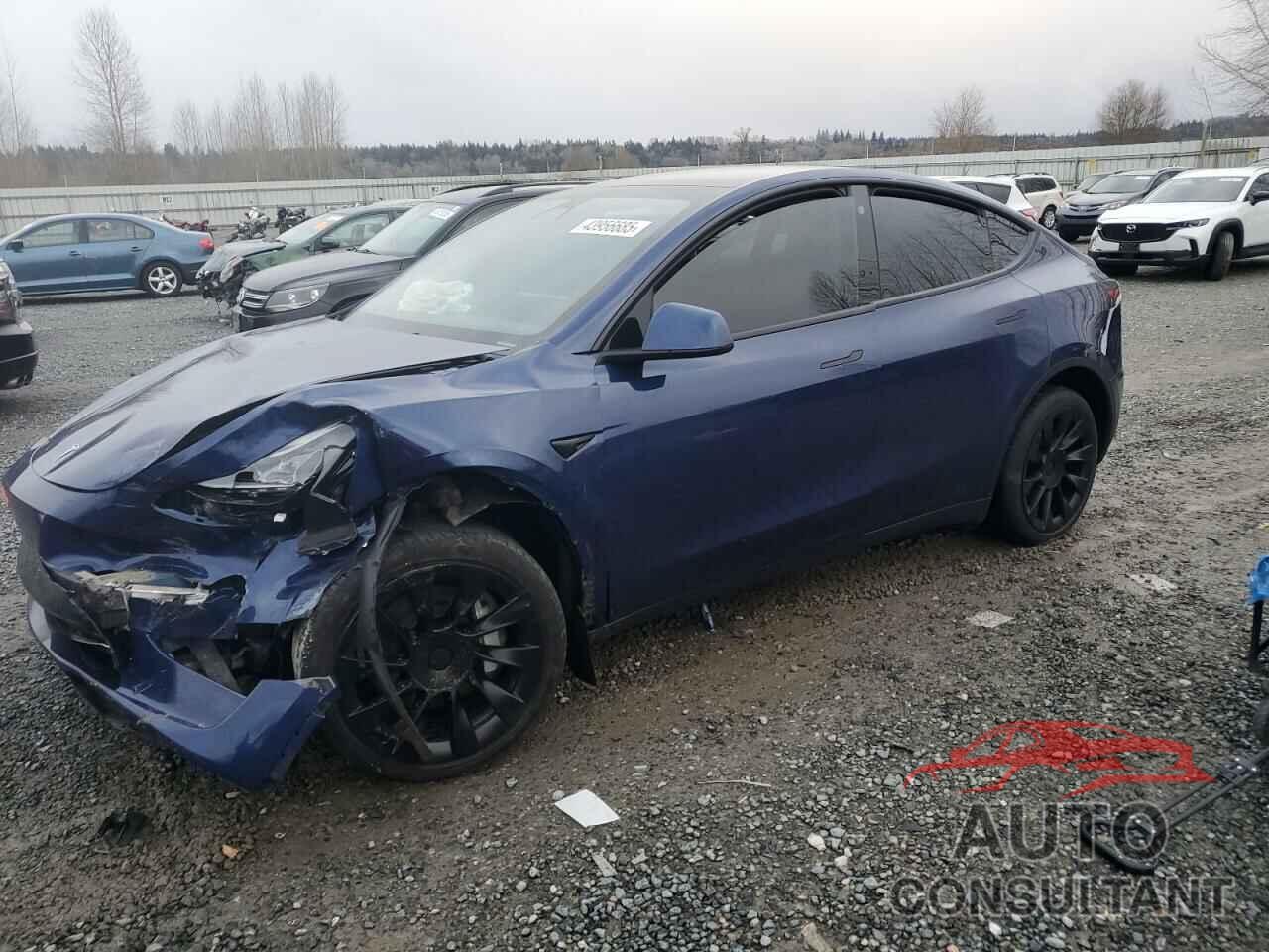 TESLA MODEL Y 2023 - 7SAYGDEE4PF698850