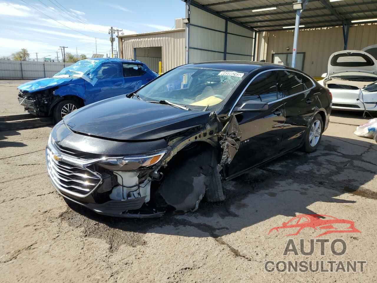 CHEVROLET MALIBU 2019 - 1G1ZB5ST0KF117477