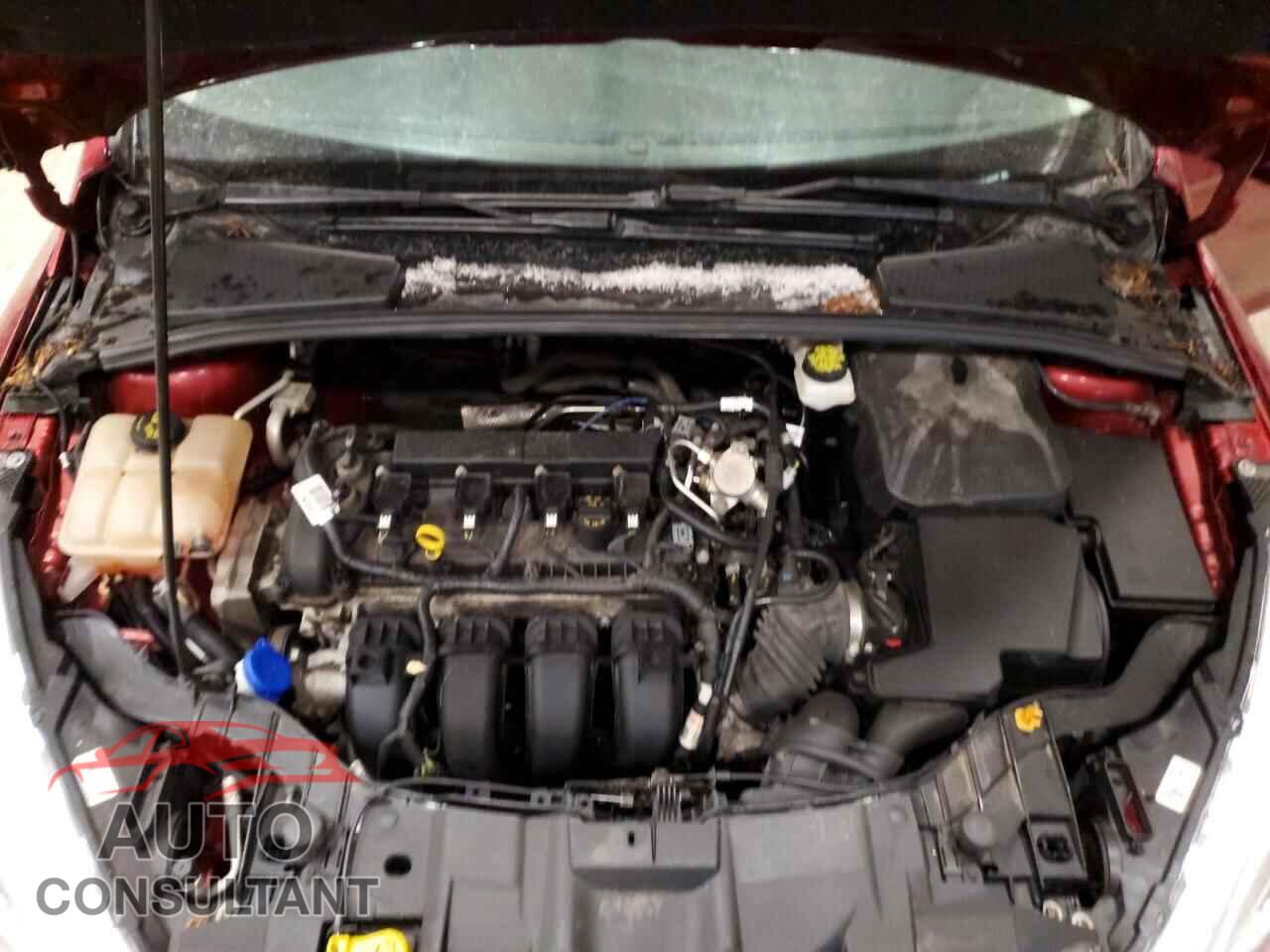 FORD FOCUS 2017 - 1FADP3K24HL295343