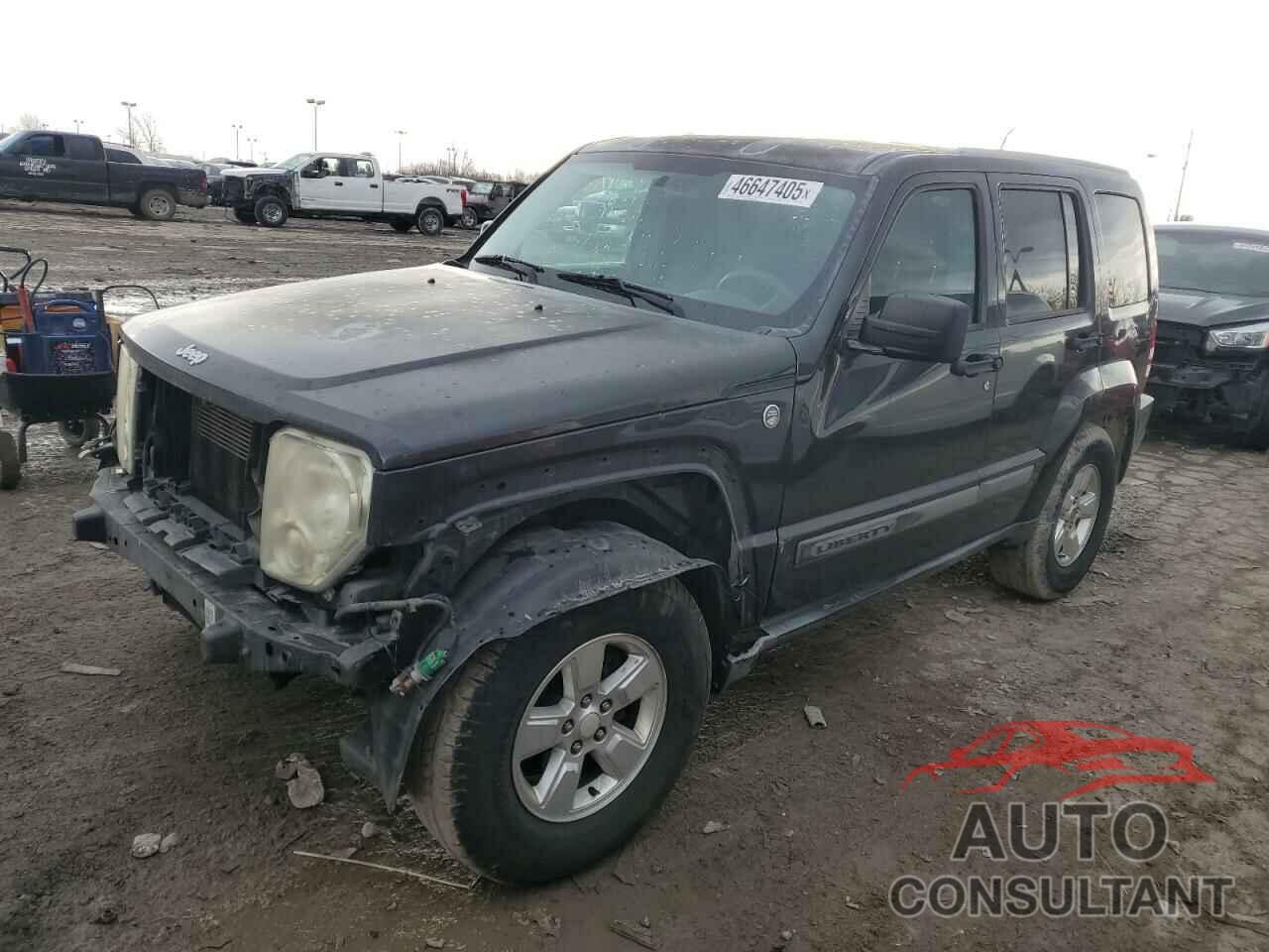 JEEP LIBERTY 2011 - 1J4PN2GKXBW579527