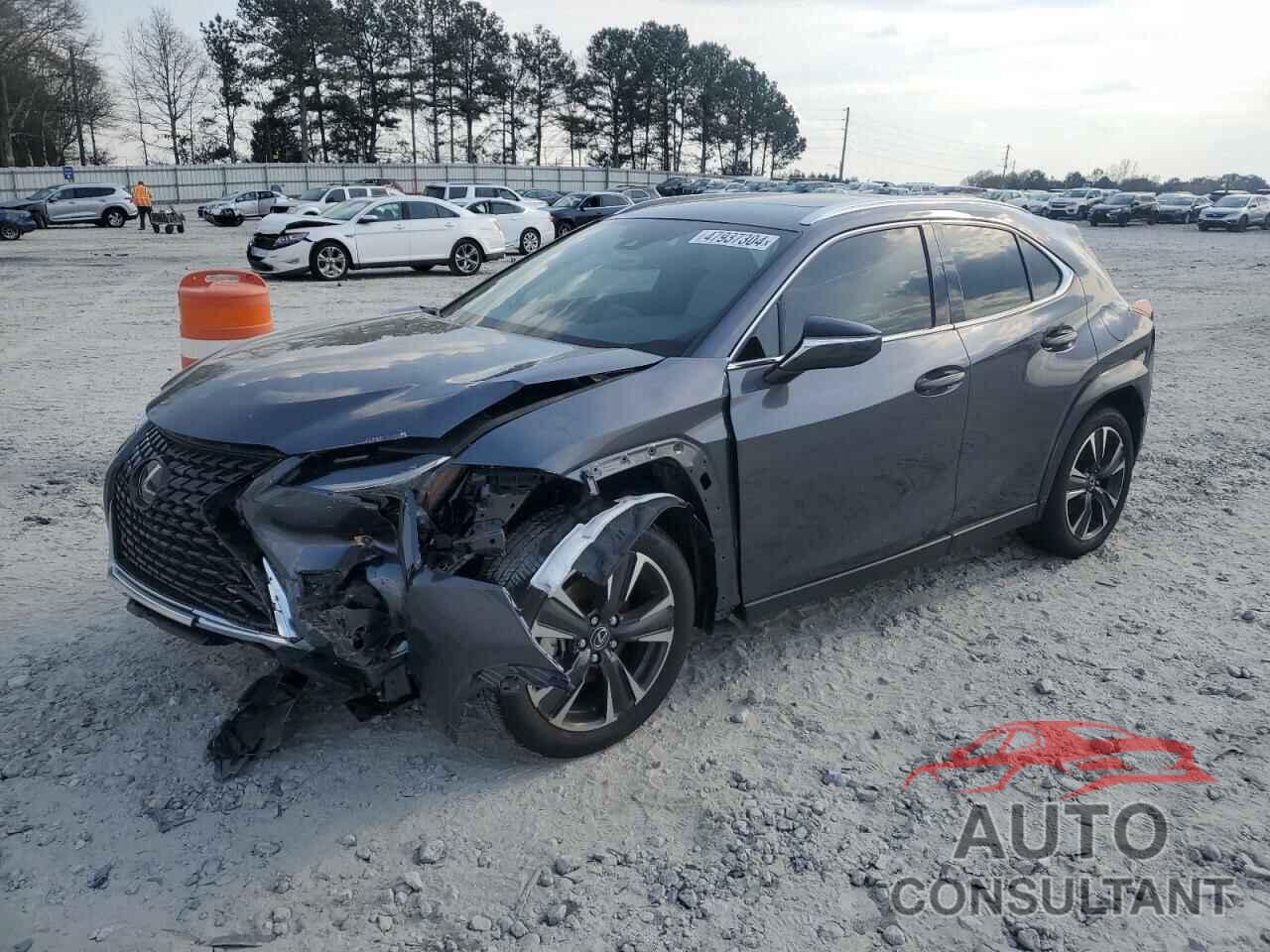 LEXUS UX 250H PR 2024 - JTHP6JBH9R2176910