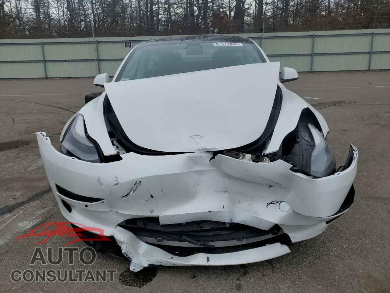 TESLA MODEL 3 2021 - 5YJ3E1EA2MF961406