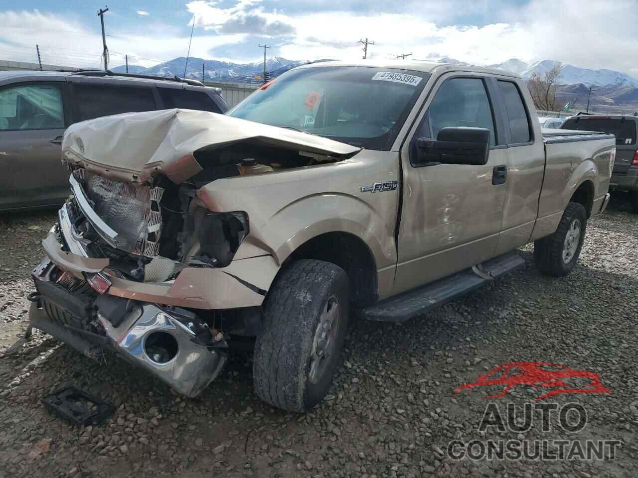 FORD F-150 2014 - 1FTFX1EF7EKF48372