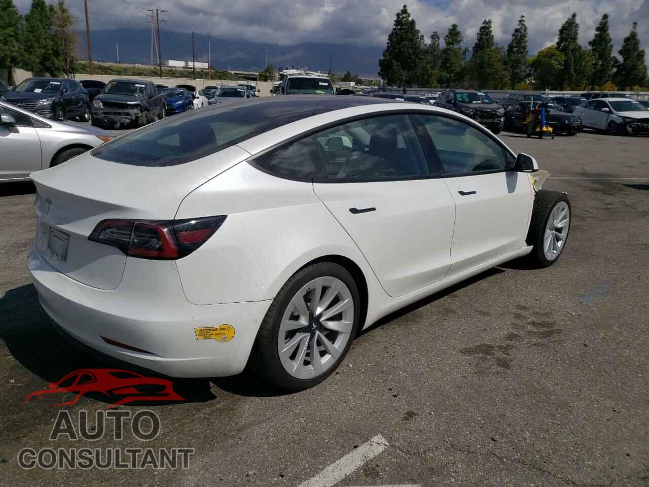 TESLA MODEL 3 2022 - 5YJ3E1EA8NF295718