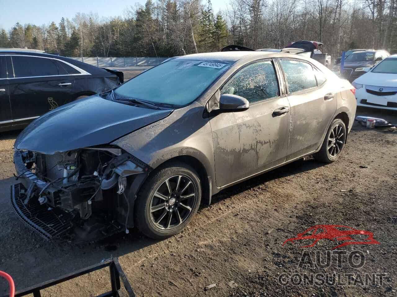 TOYOTA COROLLA 2019 - 2T1BURHE2KC182505