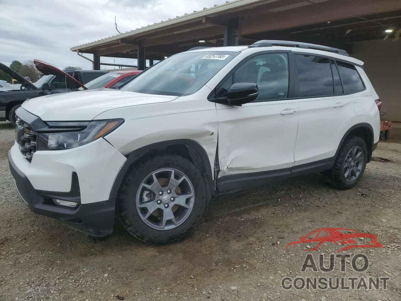 HONDA PASSPORT 2024 - 5FNYF8H66RB013794