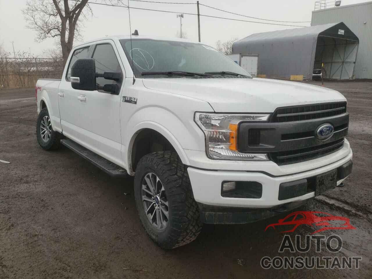 FORD F-150 2019 - 1FTFW1E4XKFB21547