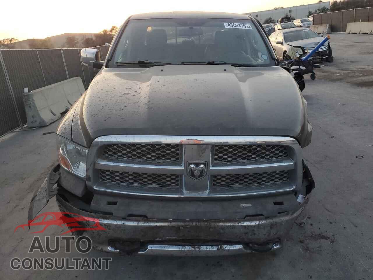 DODGE RAM 1500 2012 - 1C6RD7NT2CS123869