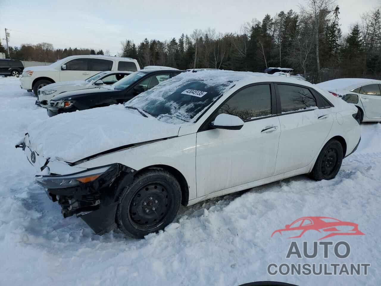 HYUNDAI ELANTRA 2024 - KMHLM4DG0RU736051