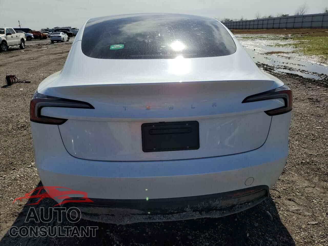 TESLA MODEL 3 2024 - 5YJ3E1EA3RF769418