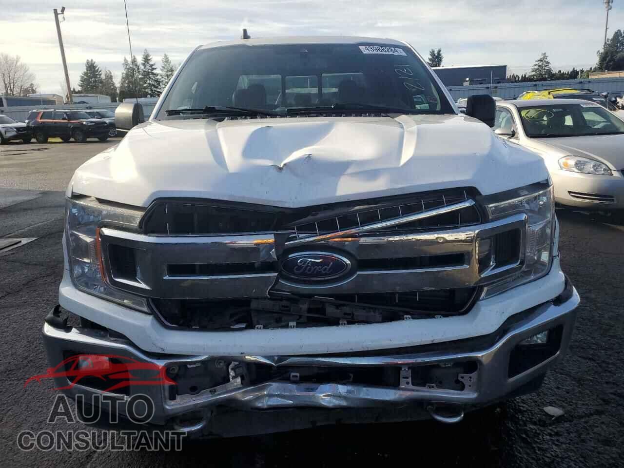 FORD F-150 2019 - 1FTFW1E42KKF29340