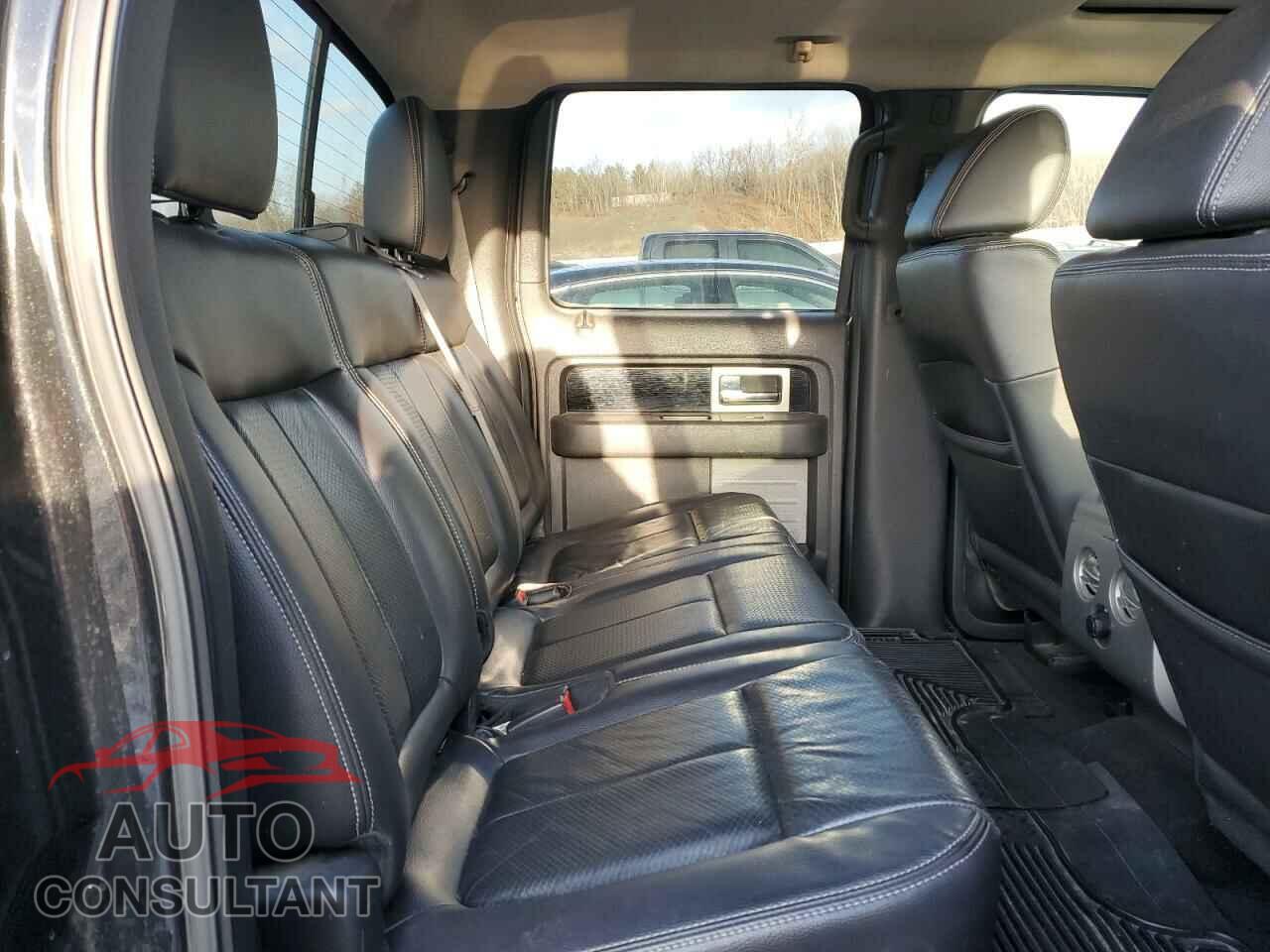 FORD F-150 2010 - 1FTFW1EVXAFA11315