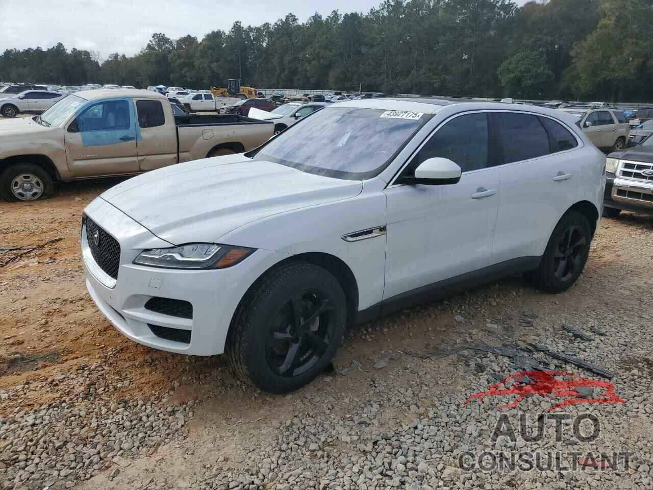 JAGUAR F-PACE 2017 - SADCK2BN6HA085772