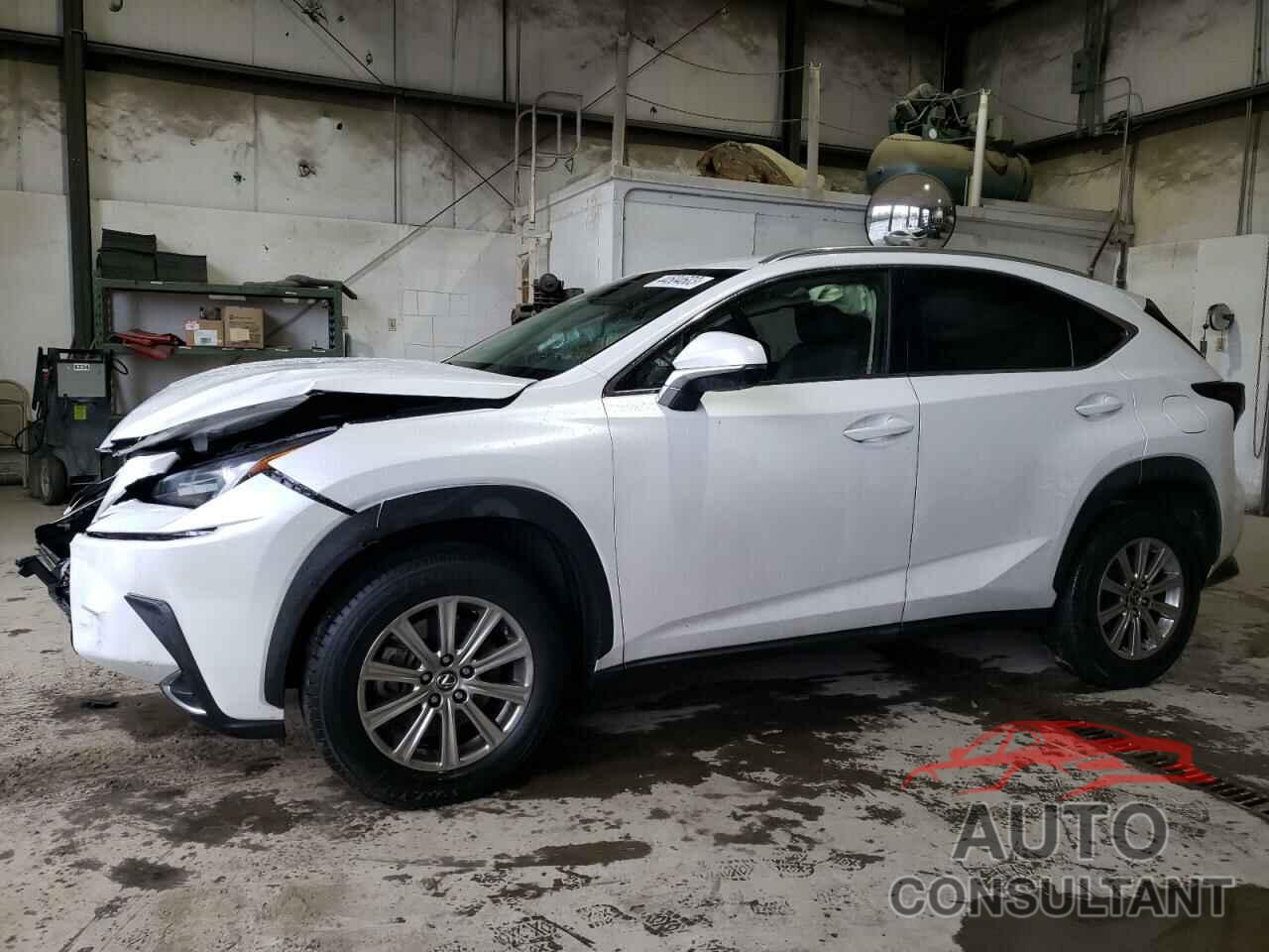 LEXUS NX 2019 - JTJBARBZ1K2198422