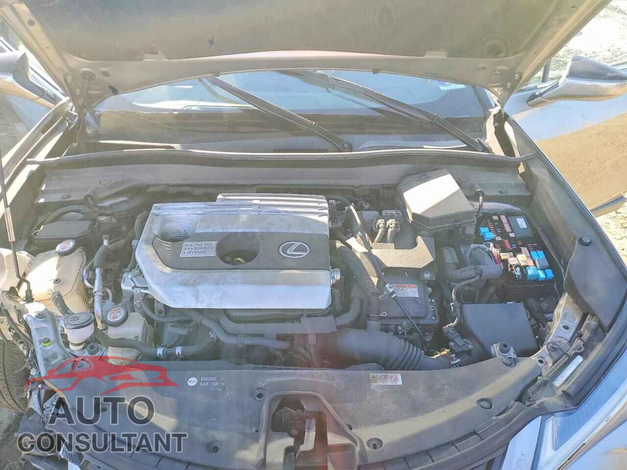 LEXUS UNKNOWN 2019 - JTHU9JBH9K2010757