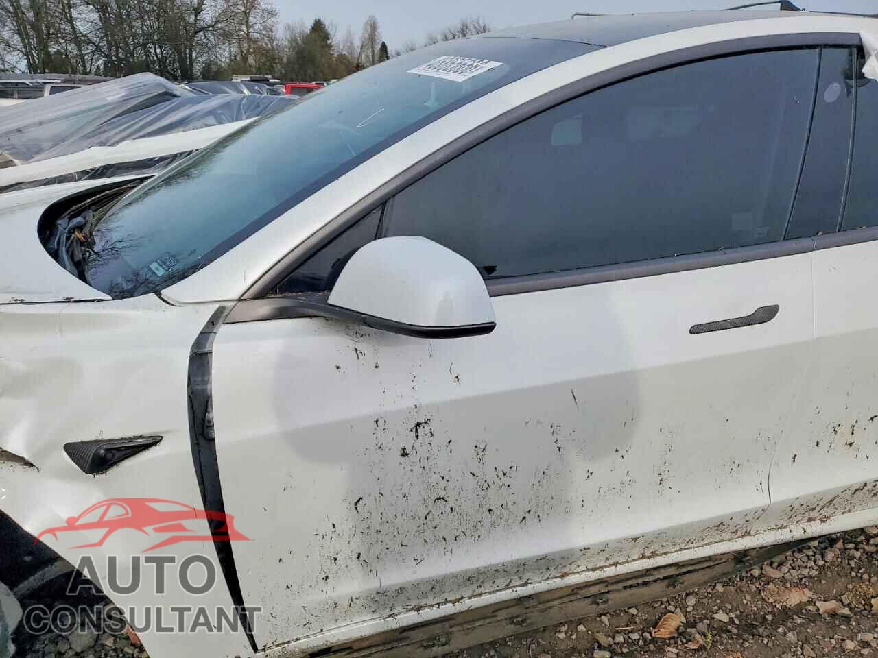 TESLA MODEL 3 2019 - 5YJ3E1EB9KF513976