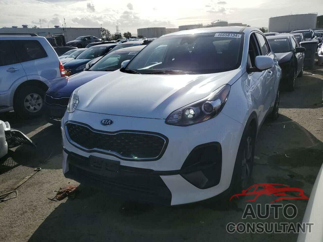 KIA SPORTAGE 2020 - KNDPM3AC9L7700866