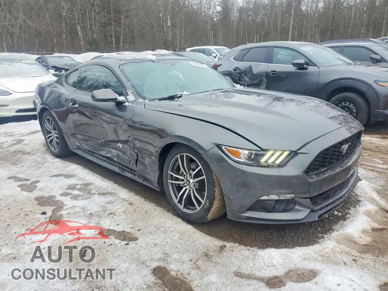 FORD MUSTANG 2017 - 1FA6P8TH7H5251611