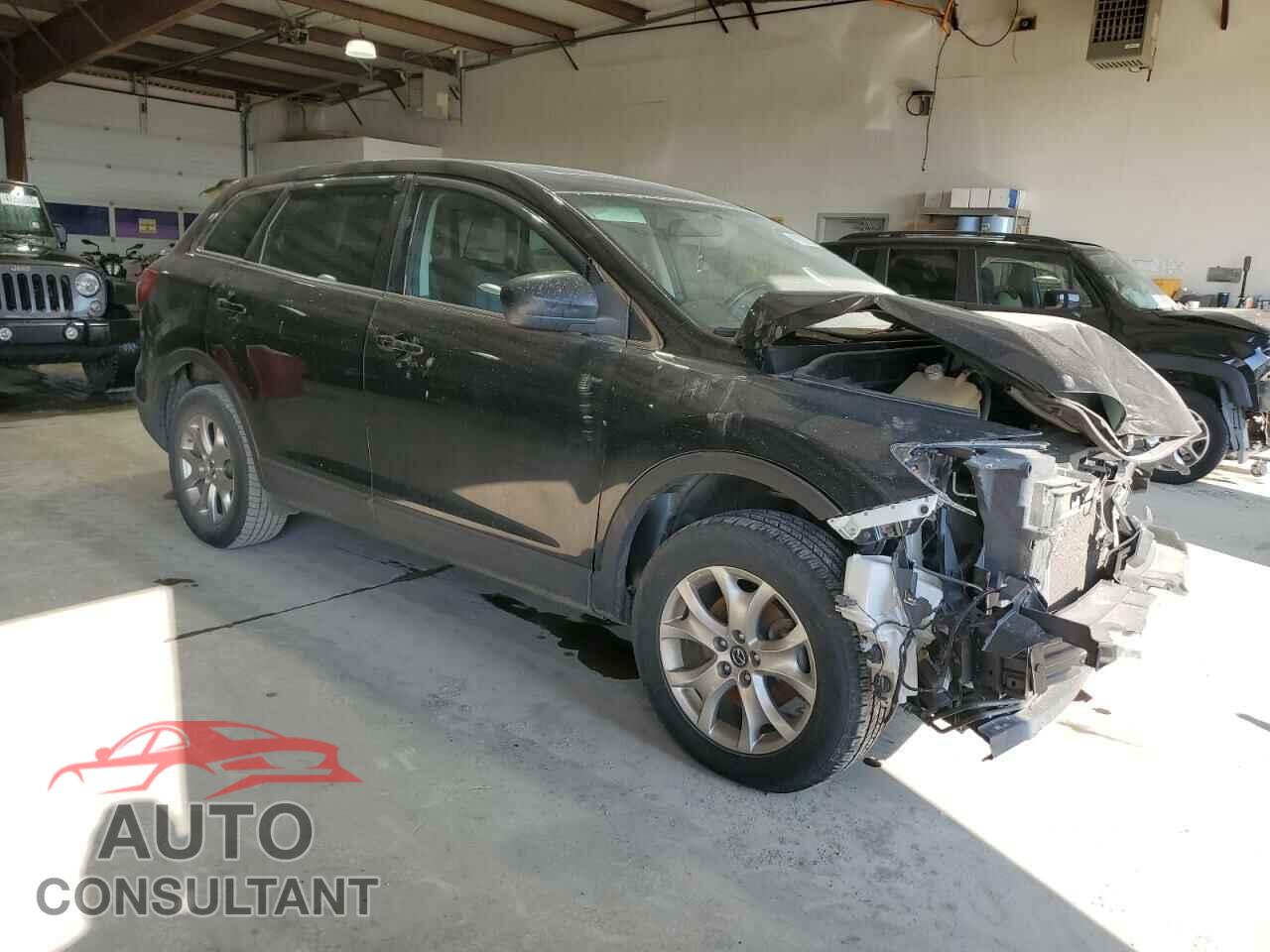 MAZDA CX-9 2014 - JM3TB2CA0E0446610