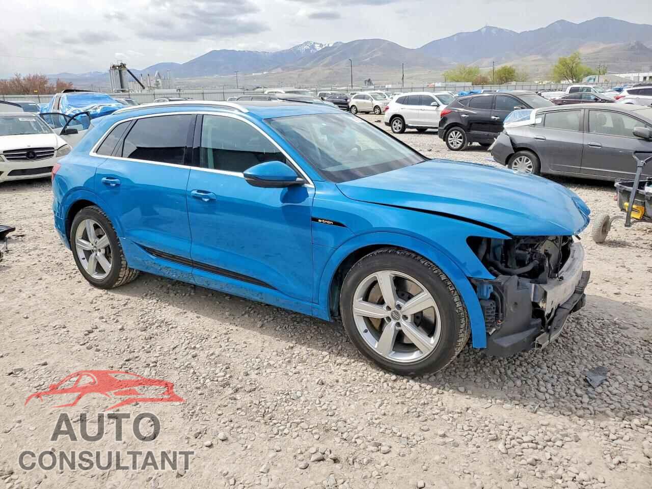 AUDI E-TRON 2019 - WA1VAAGE7KB014845