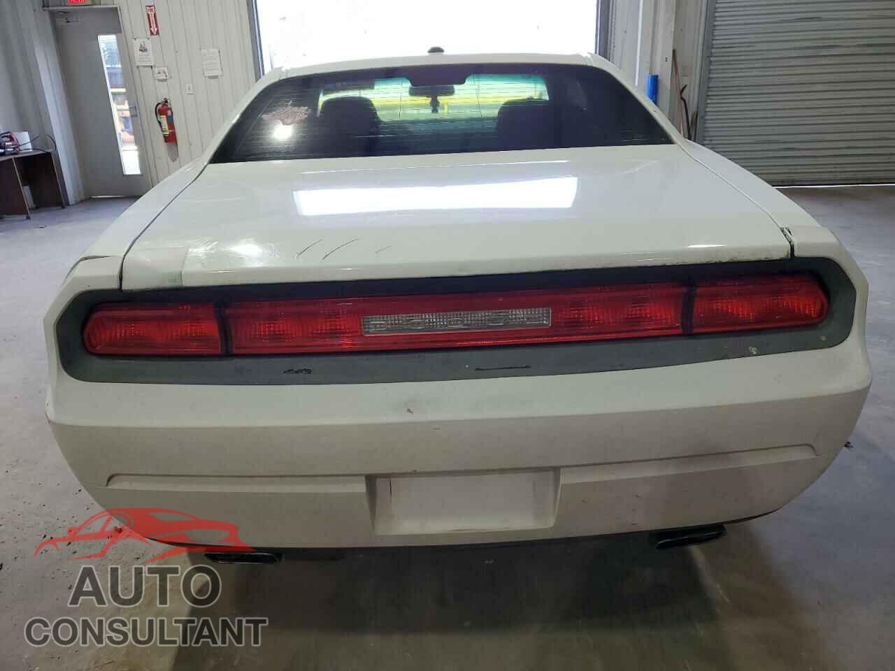 DODGE CHALLENGER 2013 - 2C3CDYAGXDH695654