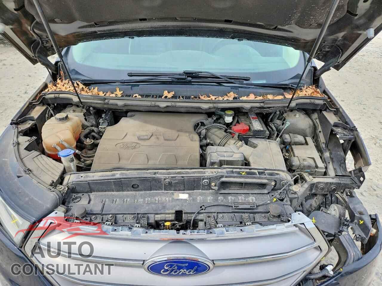 FORD EDGE 2017 - 2FMPK4J81HBB08198