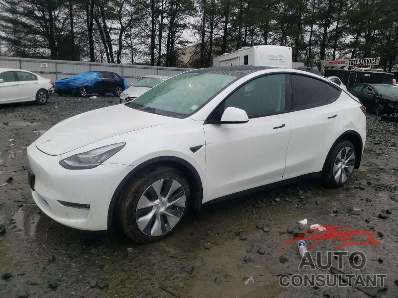 TESLA MODEL Y 2022 - 7SAYGDEE4NF318936