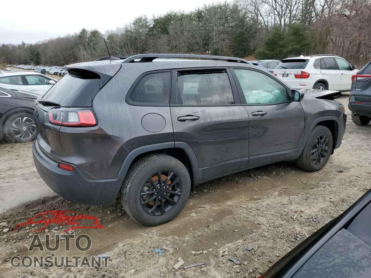 JEEP CHEROKEE A 2023 - 1C4PJMMB3PD111420