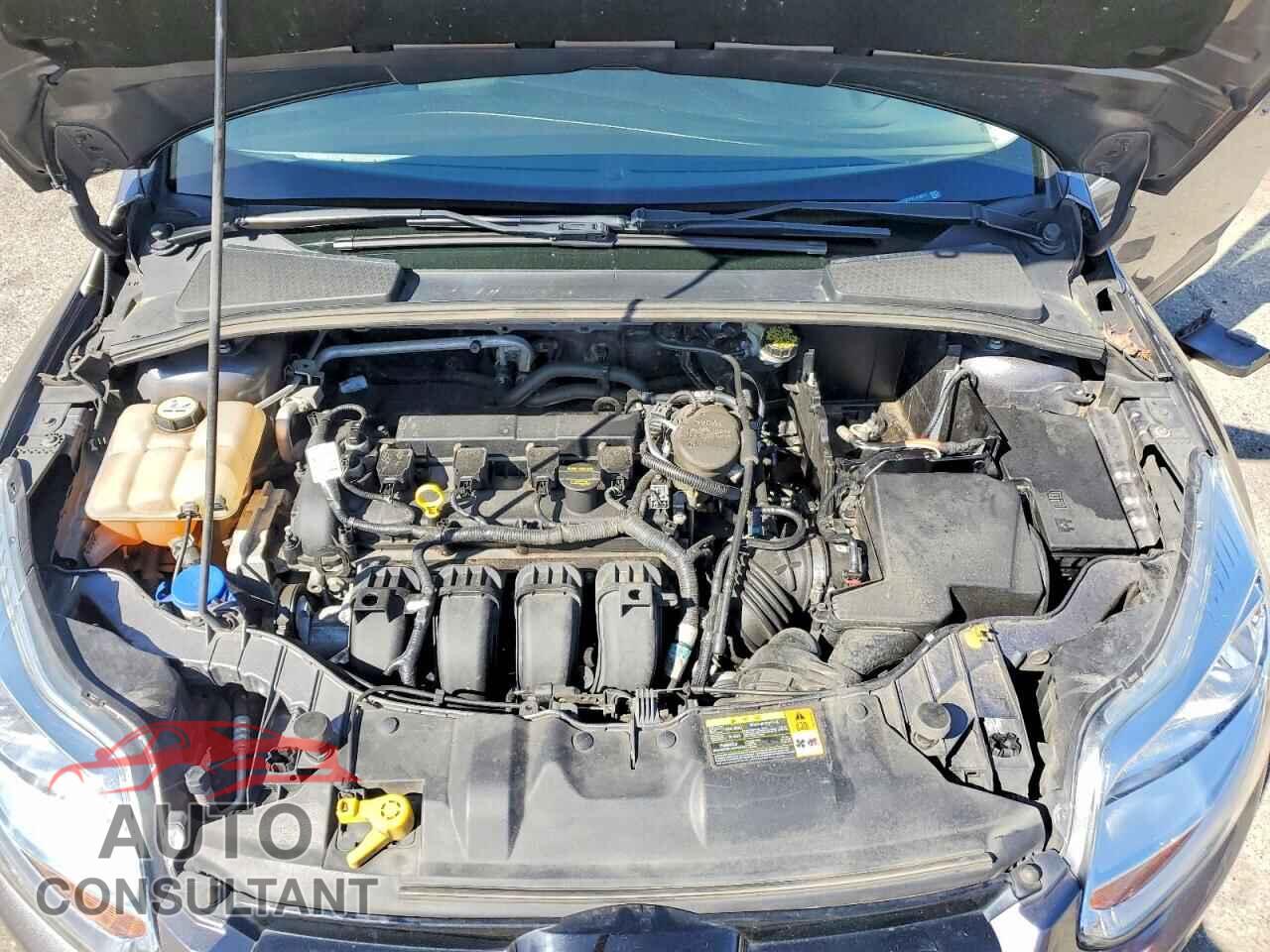 FORD FOCUS 2012 - 1FAHP3F21CL416317