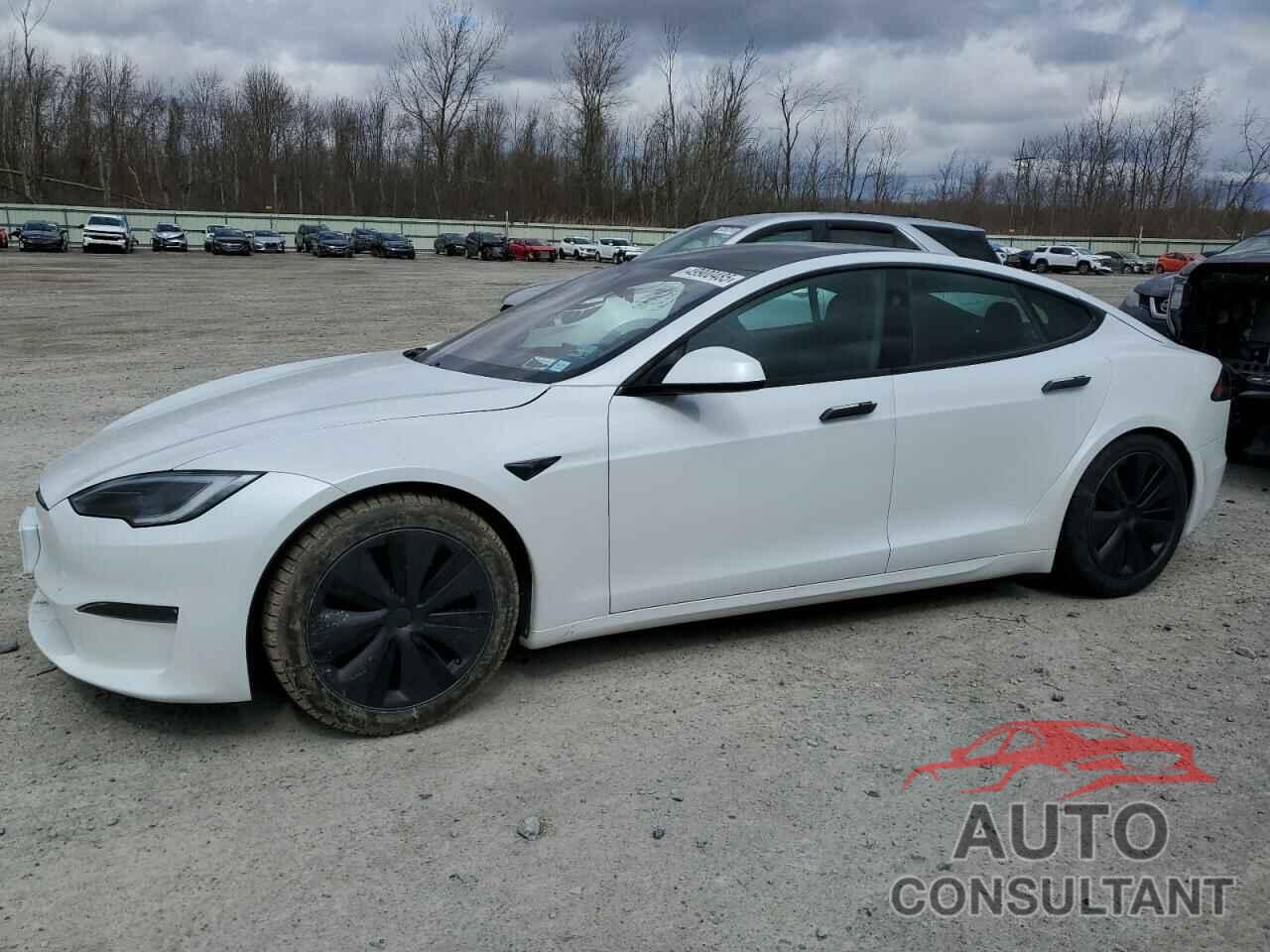 TESLA MODEL S 2023 - 5YJSA1E56PF510851