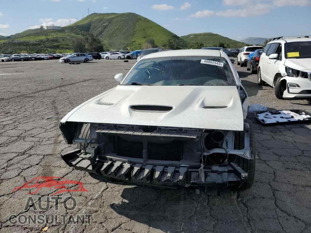 DODGE CHALLENGER 2019 - 2C3CDZFJ8KH530032