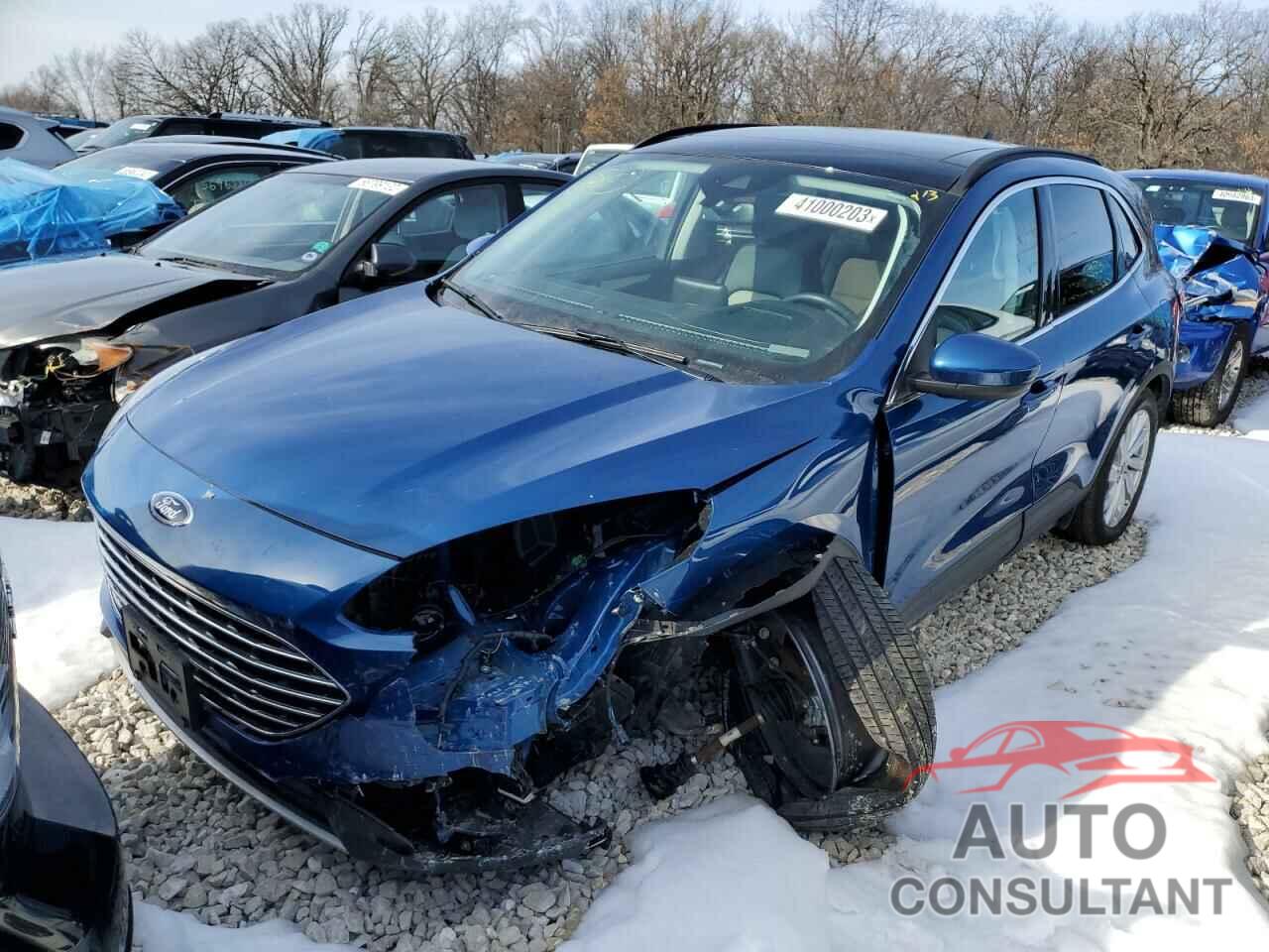 FORD ESCAPE 2022 - 1FMCU9DZ3NUA00746