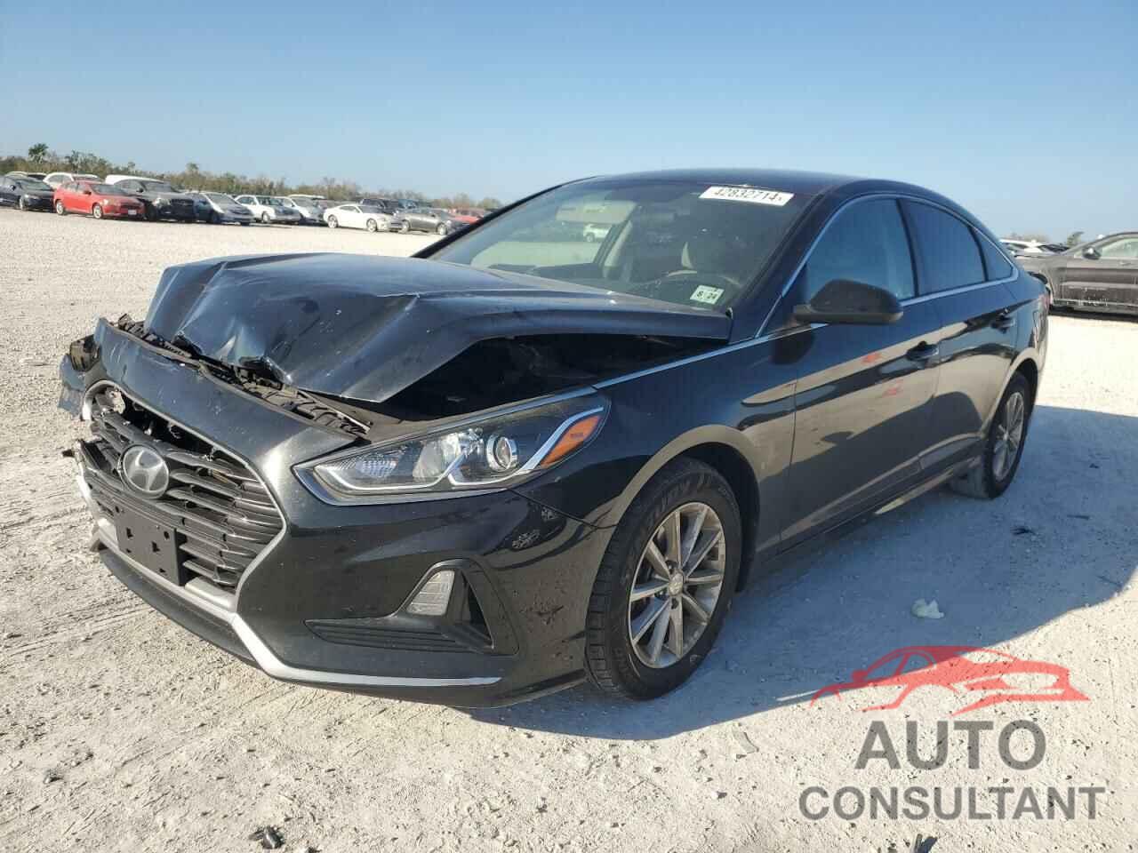 HYUNDAI SONATA 2019 - 5NPE24AF3KH777398