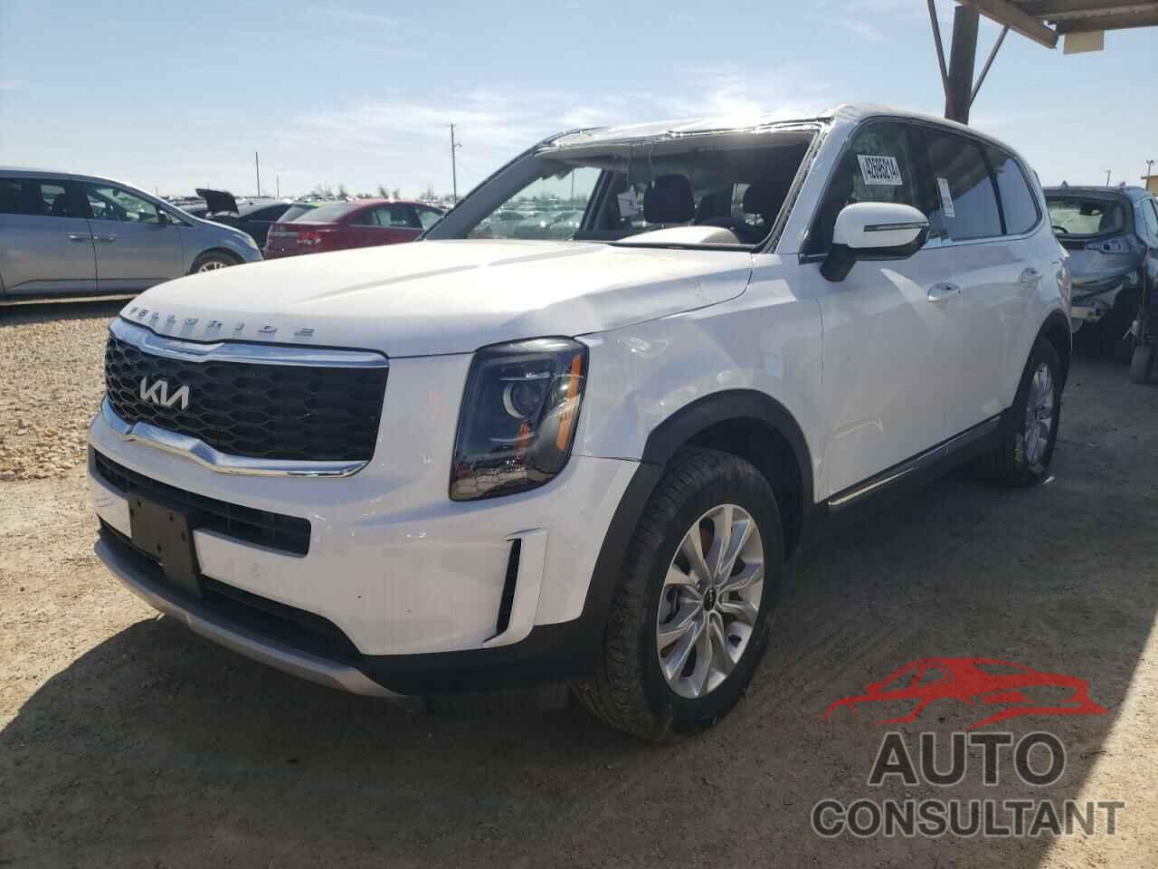 KIA TELLURIDE 2022 - 5XYP2DHC0NG311640