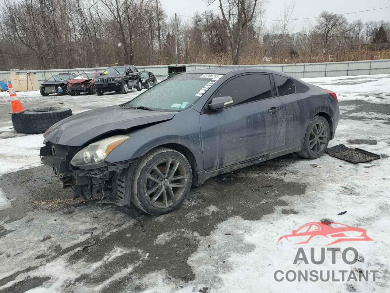 NISSAN ALTIMA 2010 - 1N4BL2EP6AC170225