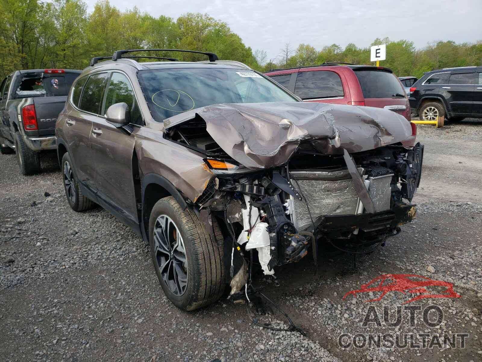 HYUNDAI SANTA FE 2020 - 5NMS5CAA0LH262883