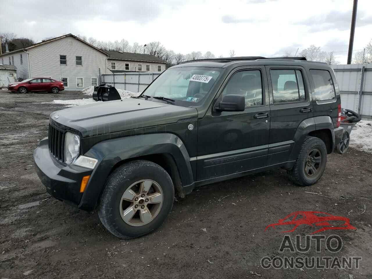 JEEP LIBERTY 2011 - 1J4PN2GK3BW531819