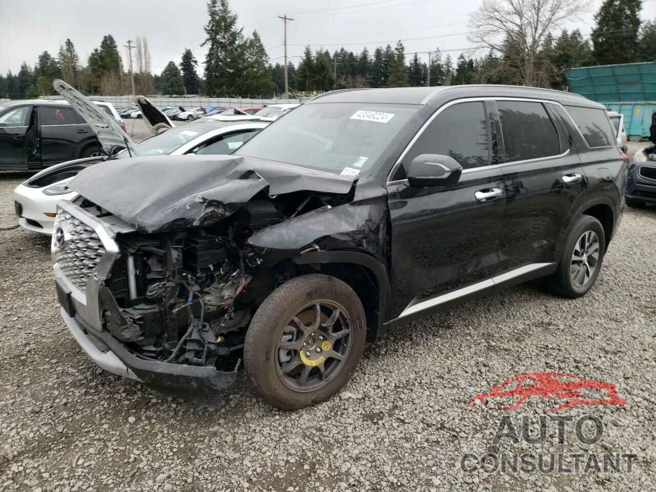 HYUNDAI PALISADE 2020 - KM8R2DHEXLU056688