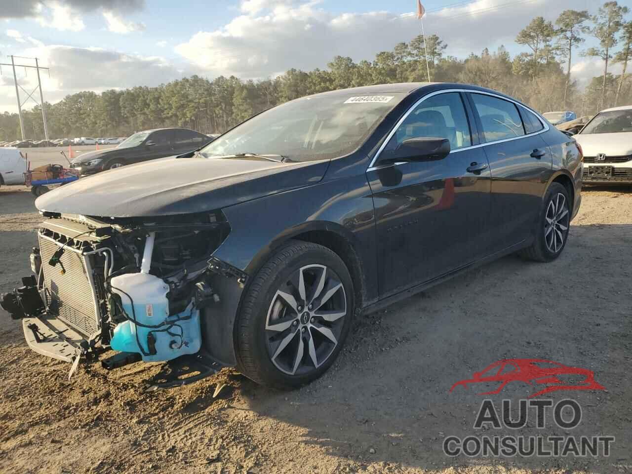 CHEVROLET MALIBU 2024 - 1G1ZG5ST7RF250409