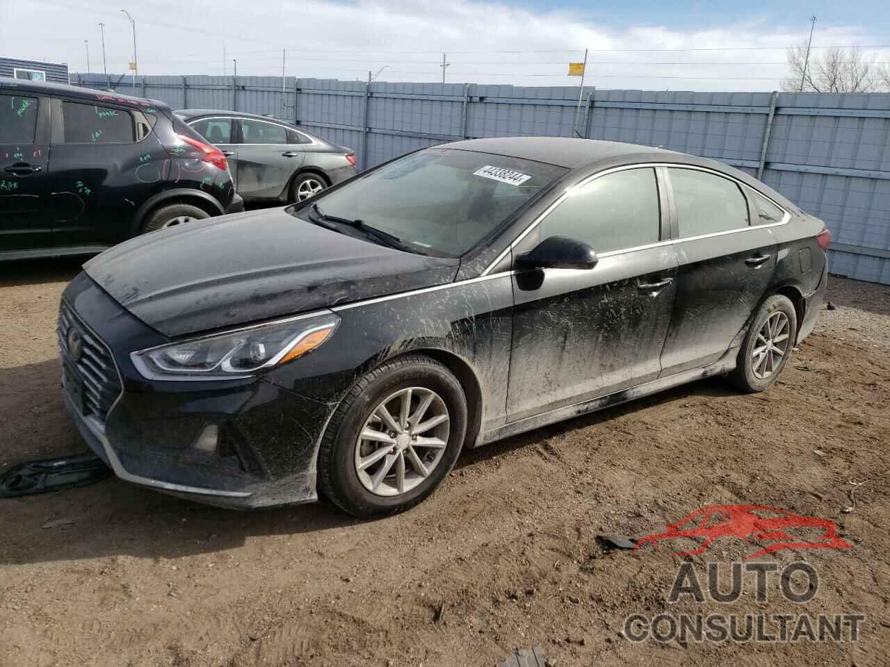HYUNDAI SONATA 2019 - 5NPE24AF2KH762746