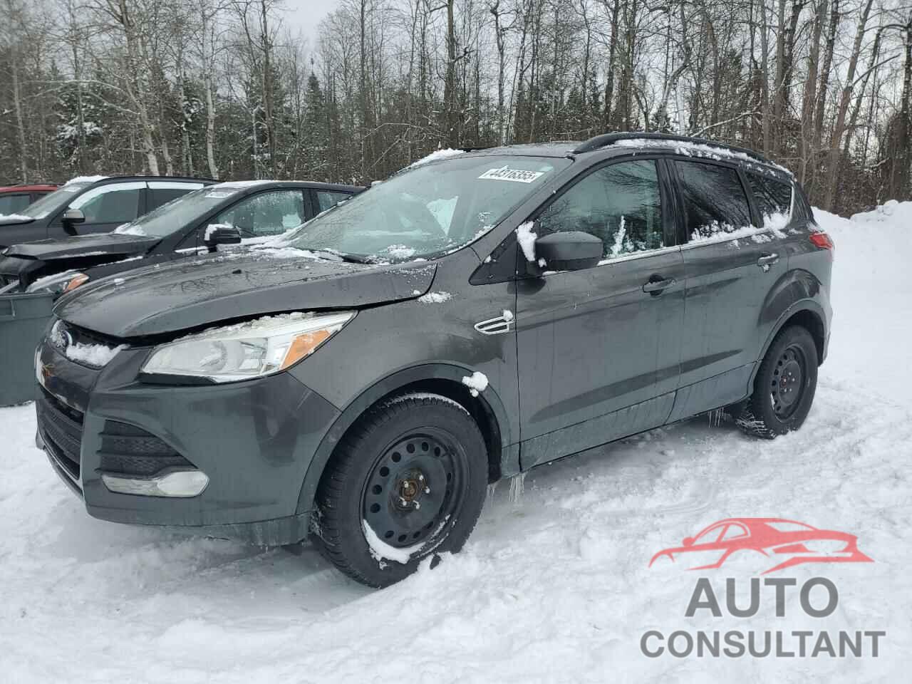FORD ESCAPE 2015 - 1FMCU9GX4FUC83881