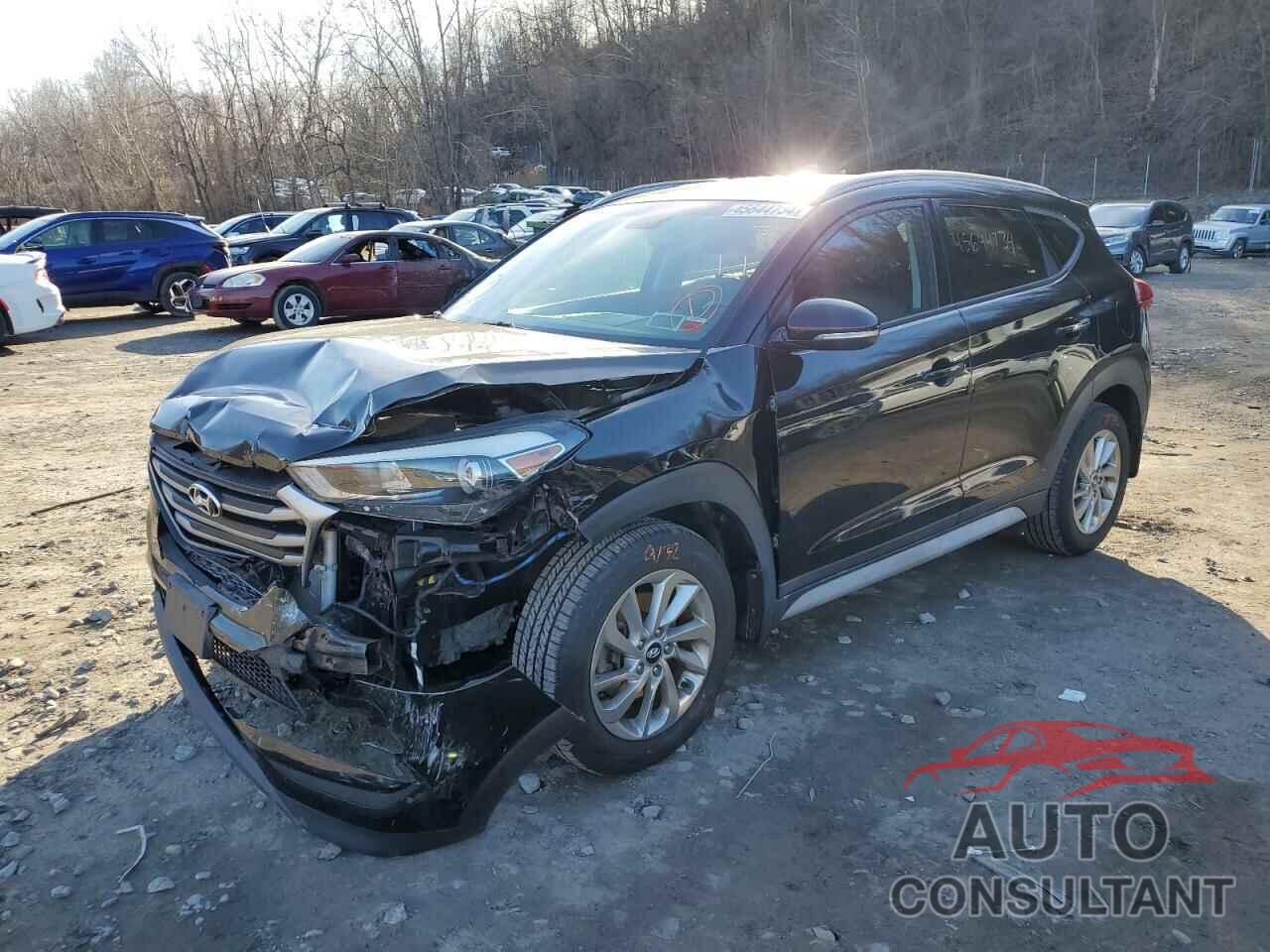 HYUNDAI TUCSON 2017 - KM8J3CA41HU528807